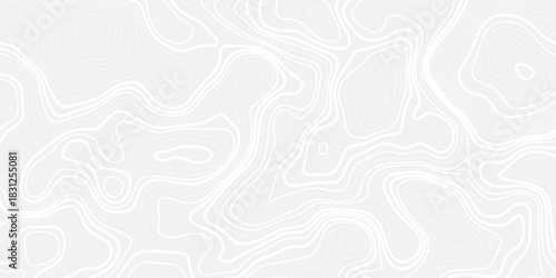 White wave paper curved reliefs abstract background, Abstract topographic contours map background, topography line map. Vintage outdoors style. World map Template. Stock vector	
