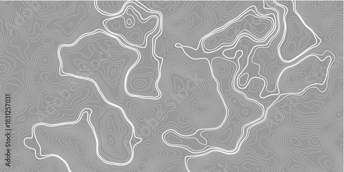 Abstract wavy curve geography topography lines contours map background. Topography white wave lines vector background.	