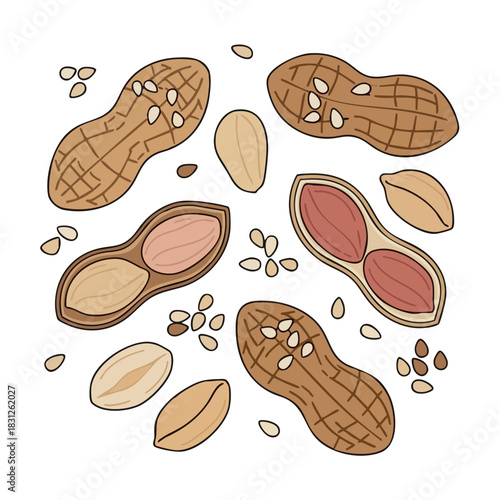 Assorted peanuts and sesame seeds on a white background for Makar Sankranti  