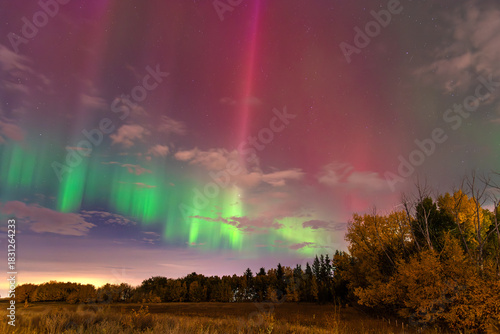 Colorful Norther Lights above a field and autumn trees in Central Alberta, Canada