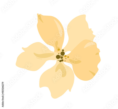 Aesthetic watercolor flower. Beige bloom and blossom plant. Spring or summer season. Pastel color. Sticker for social media. Flat vector illustration