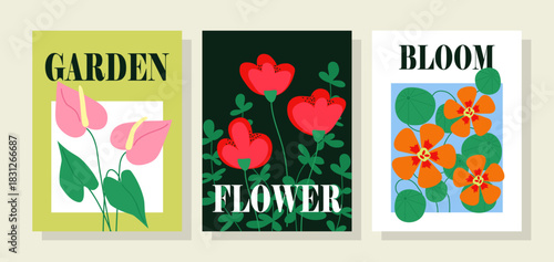 Floral posters set. Postcards with red and pink flowers. Bloom and blossom plants. Gardening and horticulture, floristry. Flat vector collection