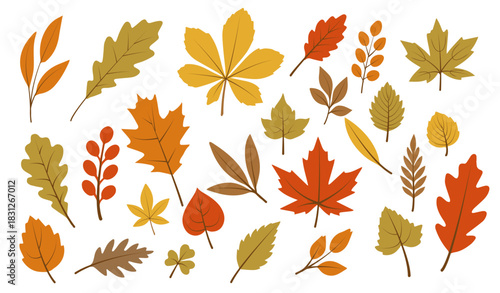 Set of autumn leaves. Red, orange, yellow and green foliage. Fall season stickers. Maple and oak leaf. Thanksgiving elements. Flat vector collection