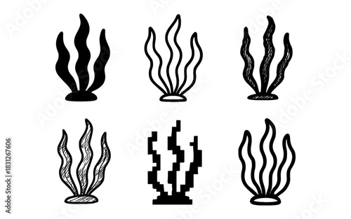 Set of seaweed designs: minimalist, silhouette, doodle, pixel style