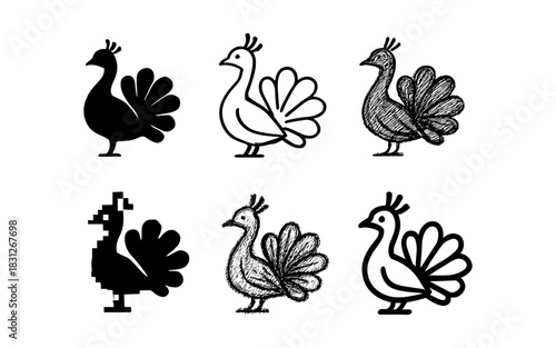 Stylized peacock set: silhouette, sketch, pixel, and outline variations