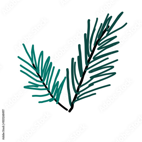 heart shaped leaves,A stylized digital illustration of two coniferous tree branches (pine or spruce) on a white background, perfect for Christmas and winter designs.