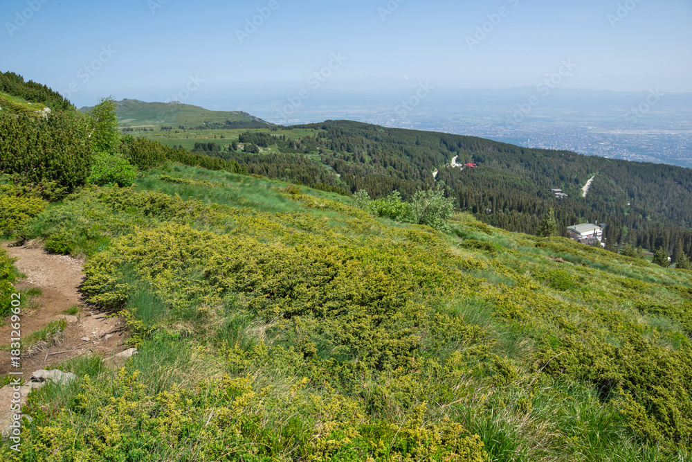 Naklejka premium Landscape of Vitosha Mountain, Bulgaria
