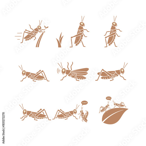 Nine brown grasshopper and locust icons in various poses, showing movement, eating, and communication vector graphic.