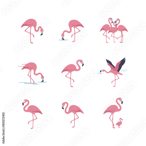 Set of nine elegant pink flamingo icons in various poses, including wading, flying, and parent with chick vector.