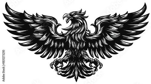 Majestic black and white eagle illustration with spread wings, heraldic design, powerful raptor emblem, freedom symbol.