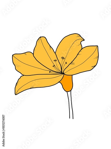 simple image of flowers