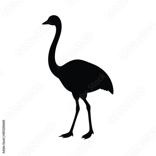 A silhouette of a bird standing on a white background 