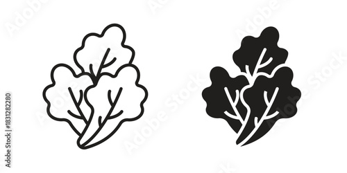 Lettuce icon pictogram in trendy outline style. icon, sign or symbol.