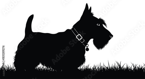 Silhouette of a Scottish Terrier dog standing in grass.