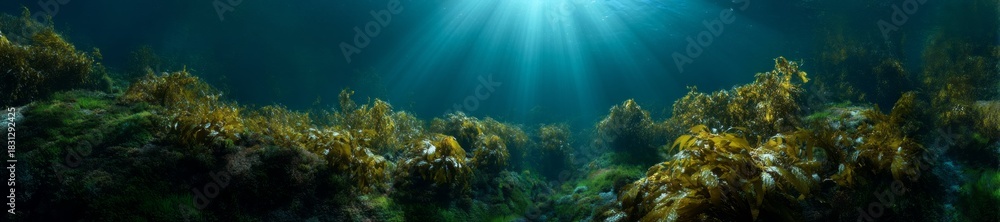 Naklejka premium Underwater hdr panorama of lush kelp forests ocean depths serene environment