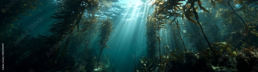 Fototapeta premium Underwater exploration in kelp forests hdr panoramic views aquatic environment