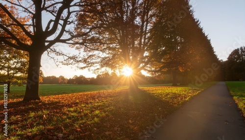 Warm sunbeams shining through the tall trees in a fall park