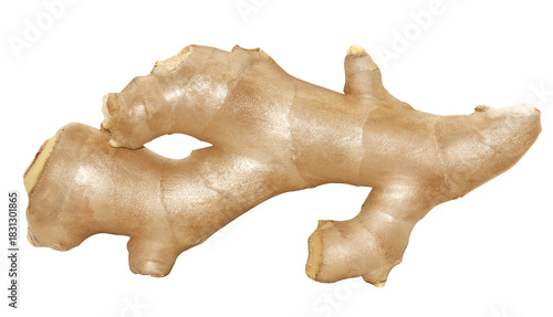 GINGER ROOT SEEN FROM THE SIDE ON A WHITE BACKGROUND, ISOLATED, CLEAN AND BEAUTIFUL 