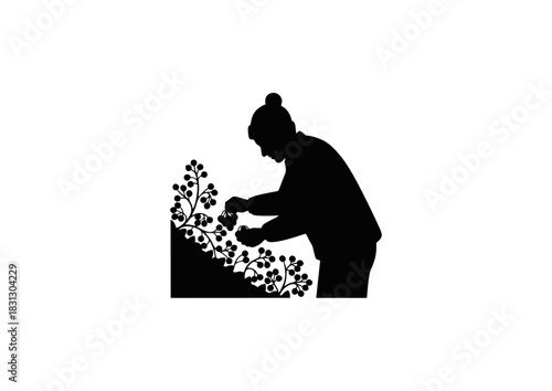 Silhouette of a gardener tending to a berry bush in a garden setting