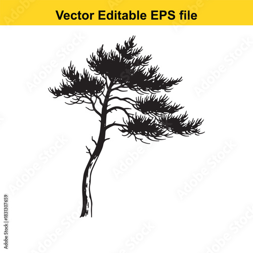 Black silhouette of a stylized pine tree with curved trunk and dense needles, isolated on white background, vector editable eps file graphic