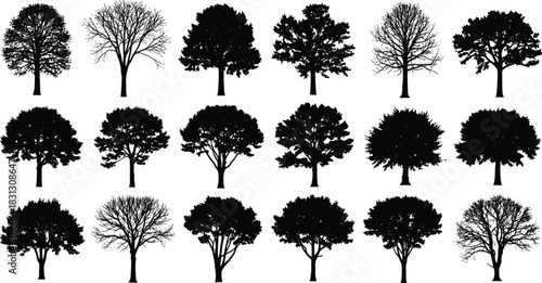 Silhouette collection of diverse trees, leafy and bare branches, natural foliage shapes, botanical forest elements, landscape design resources for nature illustration