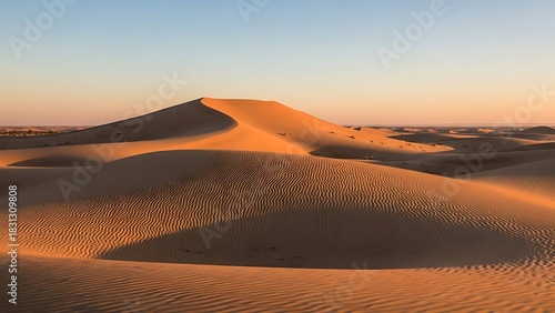 Fototapeta Naklejka Na Ścianę i Meble -  Golden desert dunes under a clear sky at sunset with rippling sand patterns