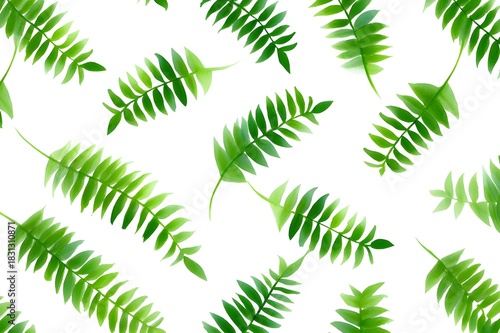 Emerald Green Aquarelle Fern Fronds Pattern Botanical Watercolor Nature Inspired Artistic Organic Design