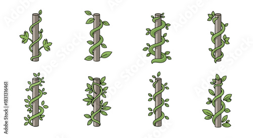 Climbing plants on wooden poles with transparent background
