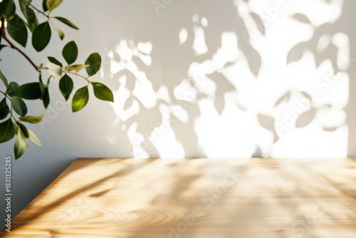 木漏れ日　机　テーブル　背景