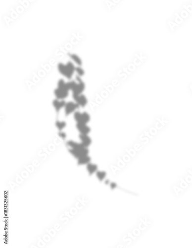 Neutral gray blurry silhouette of climbing plant or ivy vine prominent heart shaped. Clean monochrome botanical illustration is perfect for natural frames, subtle overlays, elegant background designs.