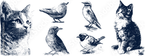 Vintage Engraved Animals Set Vector — Cat and Birds Retro Etching Illustration, Black and White Clipart Collection