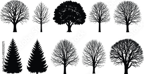 Detailed collection of diverse tree silhouettes, winter branches and evergreen shapes, natural forest vector illustration ideal for landscape design, decoration, and creative environmental artwork