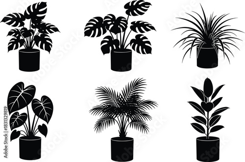 Elegant potted indoor plant silhouettes in various botanical styles, detailed black vector illustration for home decor designs, nature themes, minimalist artwork, and modern decorative projects