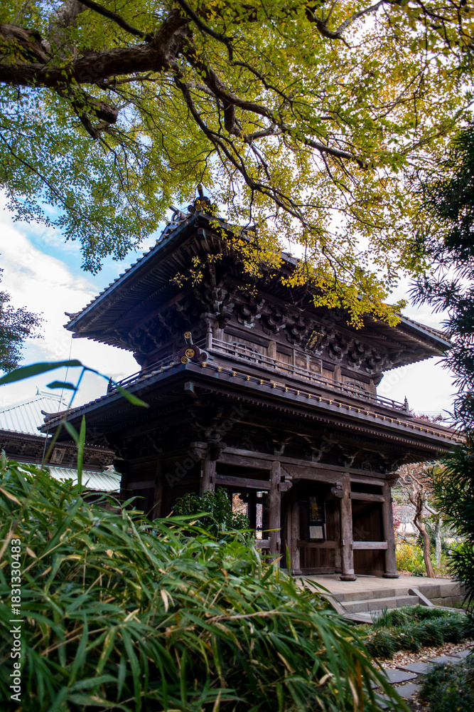 Fototapeta premium 鎌倉251121 英勝寺12 山門