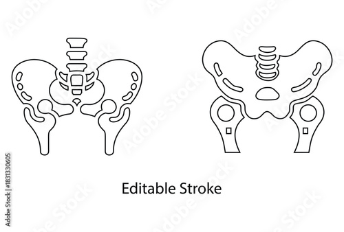 human pelvic bone icon editable stroke vector set, pelvis icon, hip joint vector line icon illustration