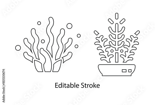 sea moss icon editable stroke vector, sea weed plant icon symbol vector line icon illustration