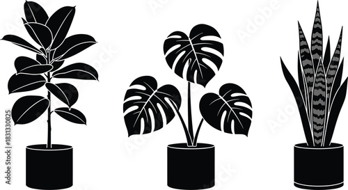 Houseplants silhouette vector set with Monstera, Snake Plant, and Ficus, decorative potted indoor tropical foliage collection for modern home and office interior design elements.