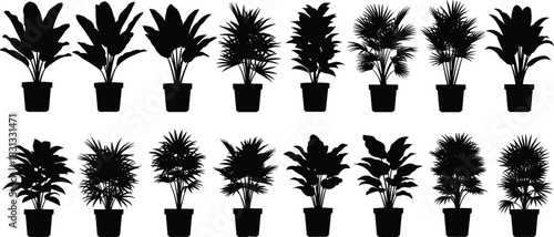 Large collection of tropical potted indoor and house plants silhouette vector set, exotic foliage, palm leaves, and decorative natural elements for modern home, office, and urban jungle design.