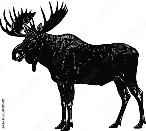 Majestic Bull Moose Black Silhouette Vector Illustration with Large Antlers and Detailed Outline for North American Wildlife and Nature Design Projects