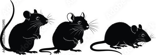 Set of Black Mouse or Rat Silhouette Vector Illustrations Showing Different Standing and Crawling Poses for Pest Control, Rodent, and Animal Design