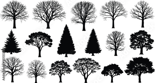Set of Sixteen Black Vector Tree Silhouettes, Including Deciduous Trees with and without Leaves, and Evergreen Pine Trees, Ideal for Landscape Design, Nature Graphics, and Architectural Plans.
