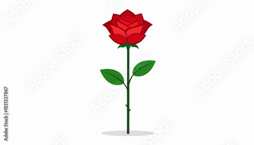  Beautiful Red Rose Flower Illustration with Green Stem and Leaves on White Background, Simple and Elegant Floral Design