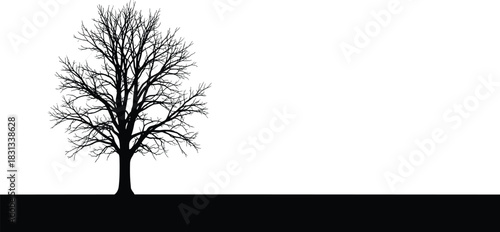 Bare winter tree silhouette standing alone in open landscape, peaceful nature scene, minimal artistic illustration design, simple natural background
