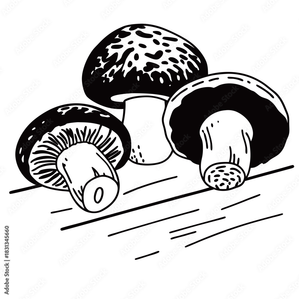 Obraz premium Nine line art icons of various tropical birds in vibrant colors, featuring macaw, toucan, parrot, and hummingbird vector set.