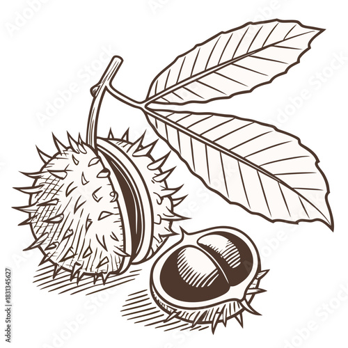 Set of nine line art icons of various birds of prey, featuring hawk, falcon, owl, and eagle in flying and perching poses.