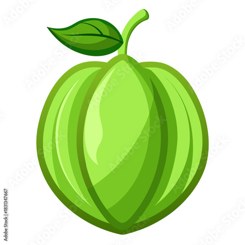 chayote vector fruit on white