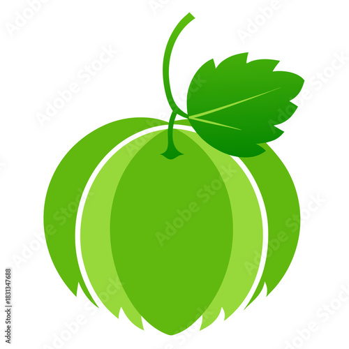  green gooseberry silhouette on white background