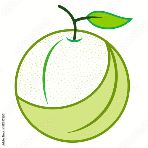 honeydew melon line art on white background