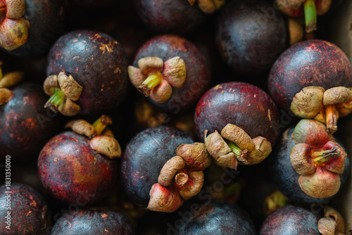 Ripe Mangosteen Fruit Ready to Enjoy