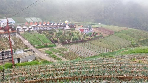 farmland in the in central java